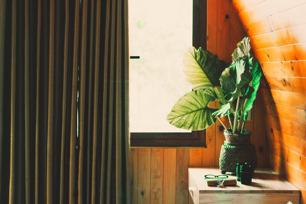 Chay Lap Farmstay Bo Trach Екстер'єр фото