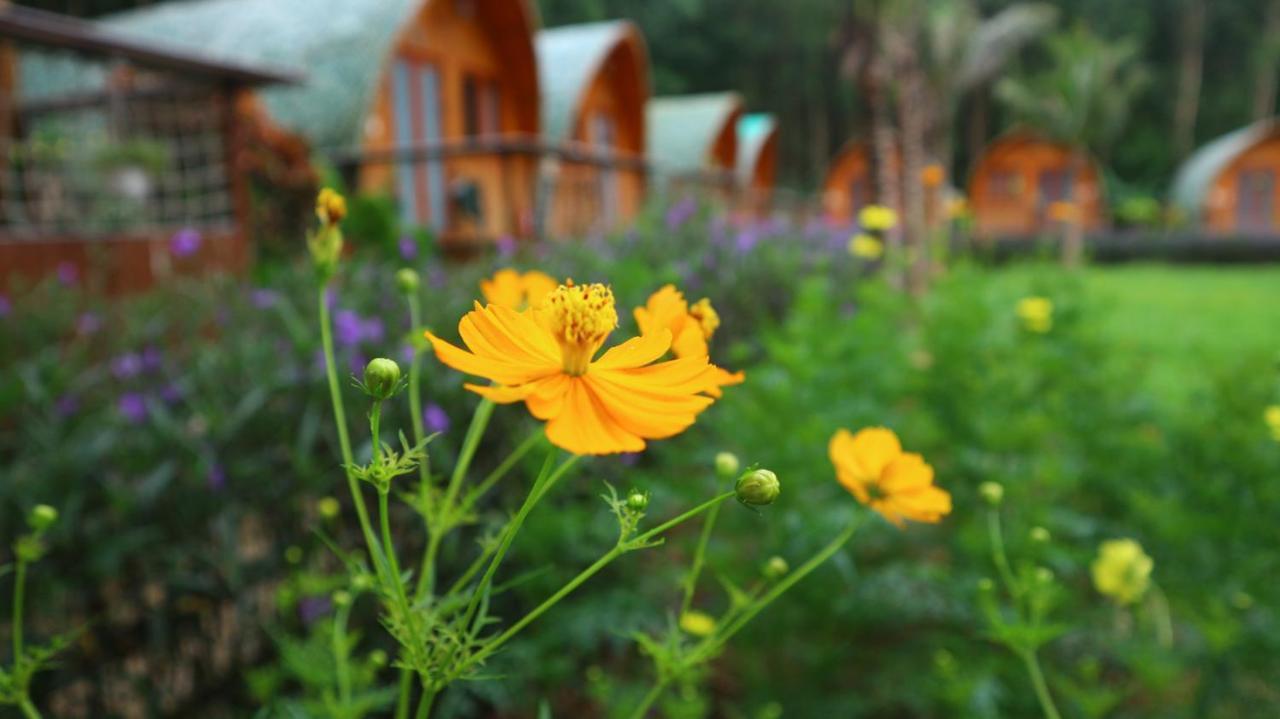 Chay Lap Farmstay Bo Trach Екстер'єр фото
